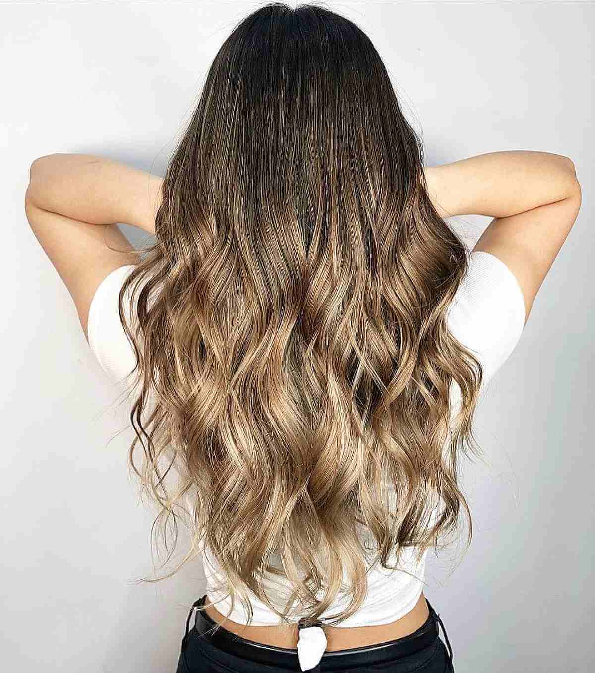 Beautiful dark to light brown ombre