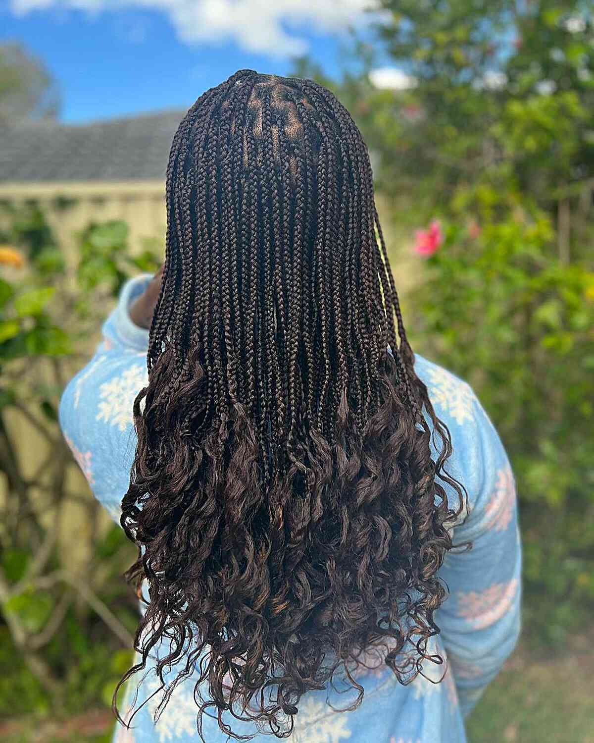 Small braids without knots with huge French curls