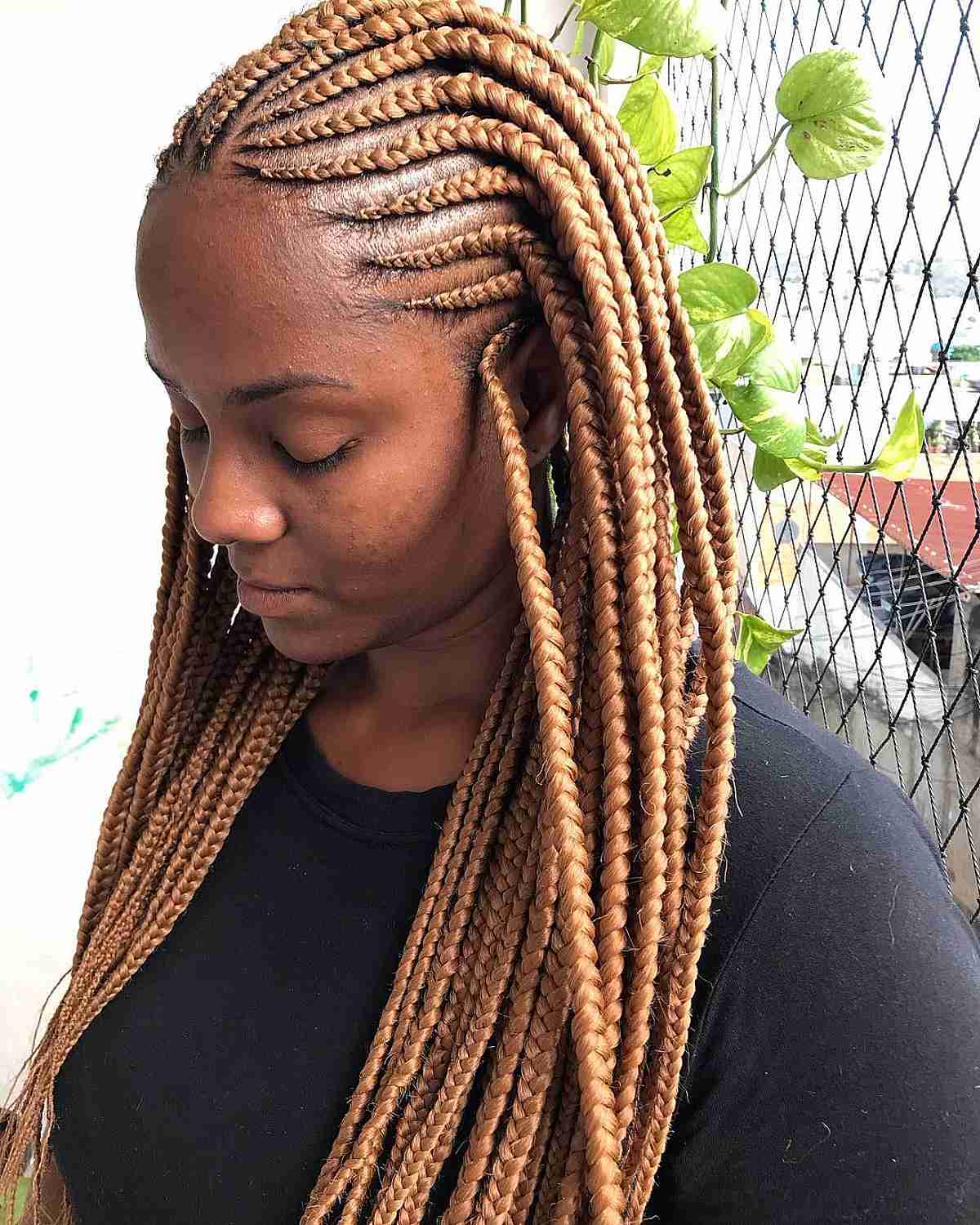 Golden Blonde Ghana Volani braids