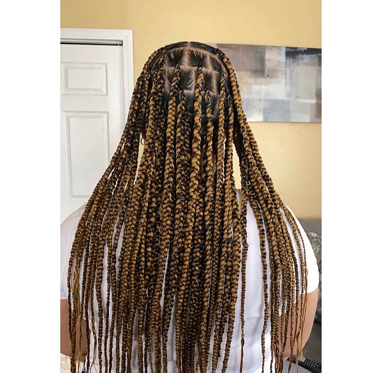 Blonde caramel braids