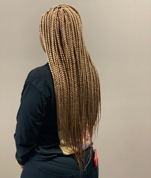 Large and blonde boxes