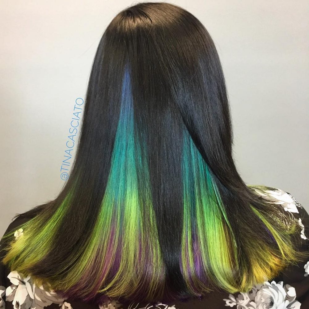 Tropical Bird Peekaboo Highlights
