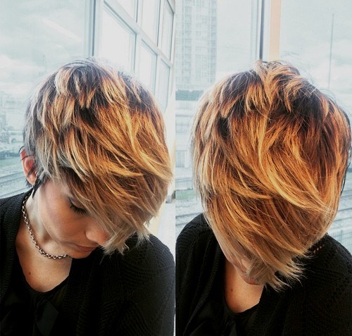 20 haircuts in the fee for your short hair 20 haircuts in the fee for your short hair