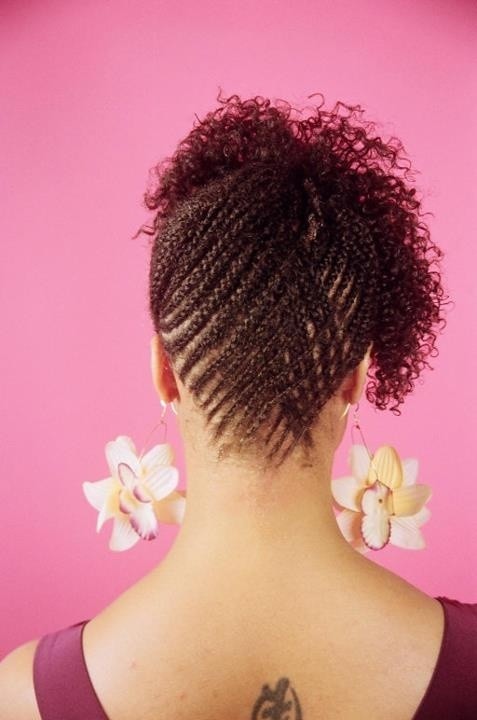 African hair braid: braids and updates