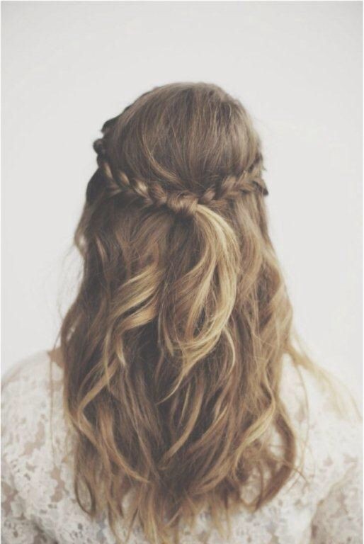 Endowment of braid hair style: Half hairstyles half down