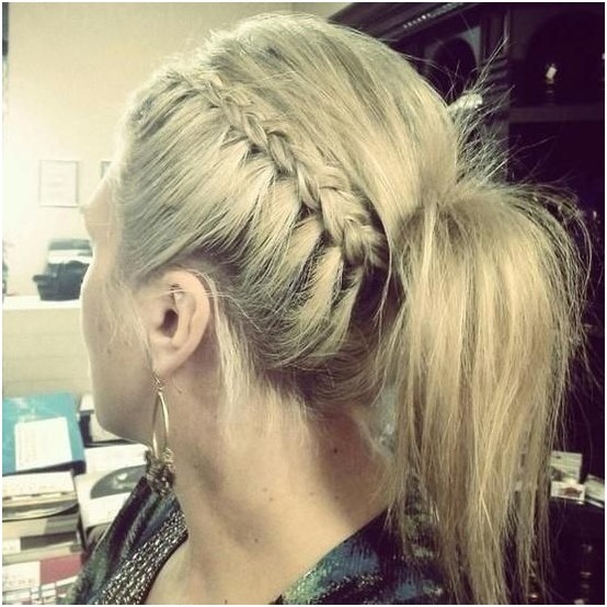 Hoster horse tail hairstyles for work