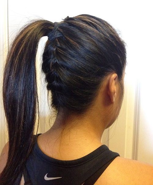 Black hair horse tail