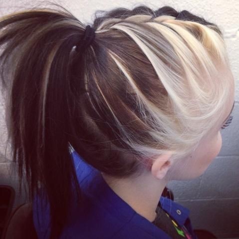 Ponytail brake with two tone hair