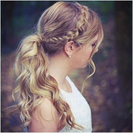 Endowment of brake hairstyles: ponytail braids for curly hair