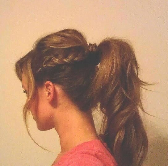 Unofficial galaly style: a horse tail braid