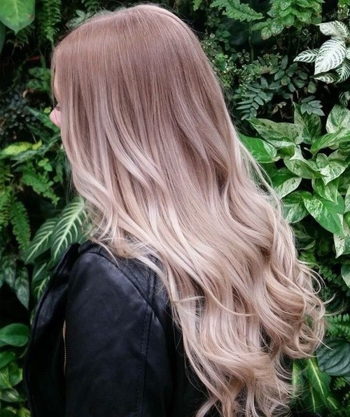 Coconut Umbre hairstyle