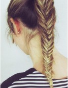 Fish tail braid, horse tail hairstyles