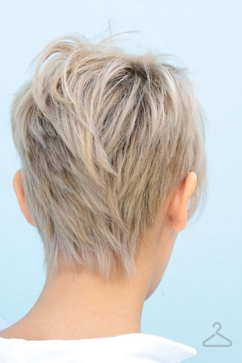 Pixie Haircut Back View: Hair Short directly