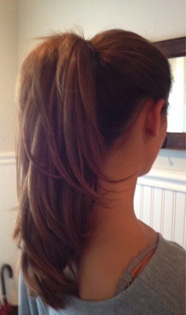 Horse tail ideas layers
