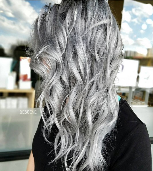 Gray and perfect silver blondes - gray menu, gray pigeon, purple gray, and silver