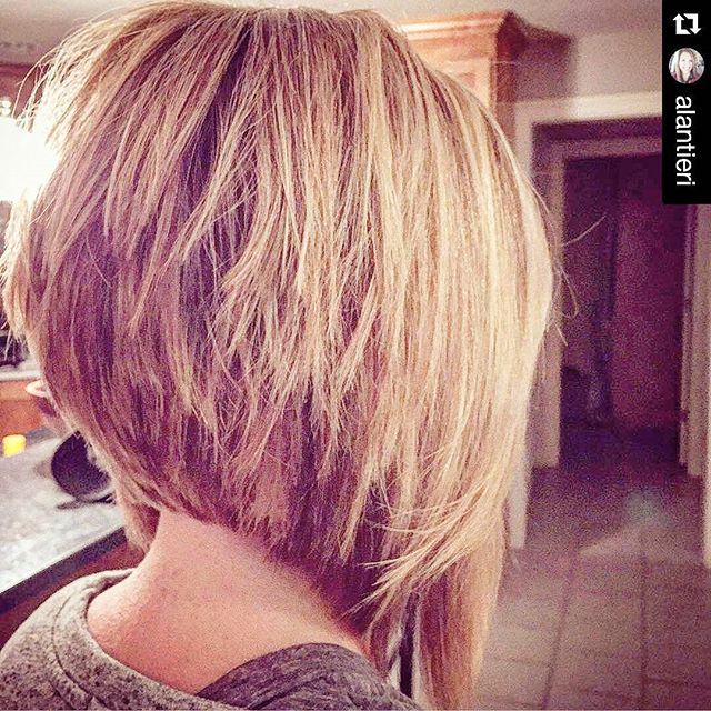 Bob hairstyle, short -layer
