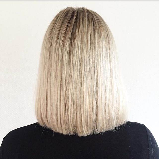 Back view of long hairstyle Bob Loop