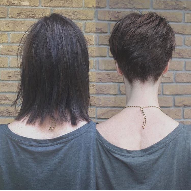 Long elegant hairstyles - women's hair for short hair Long elegant hairstyles - women's hair for short hair