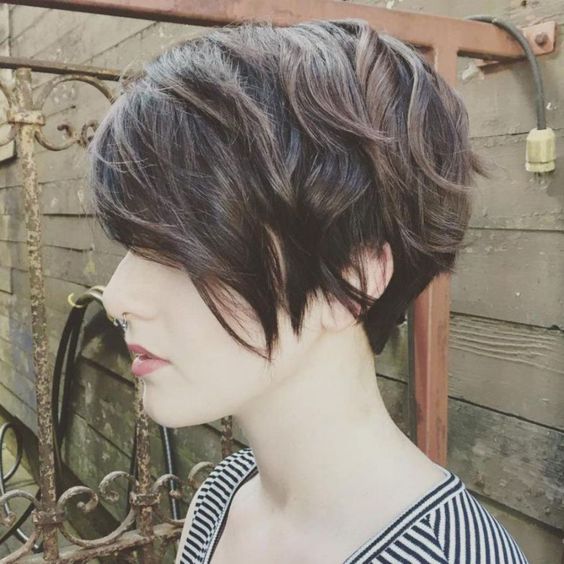 Passionate ideas - hairstyles for females for short hair Passionate ideas - hairstyles for females for short hair